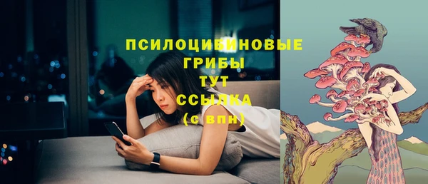 круглые Бронницы