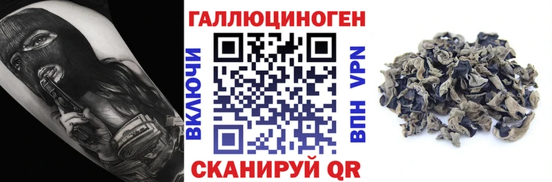 Псилоцибиновые грибы прущие грибы Новокузнецк